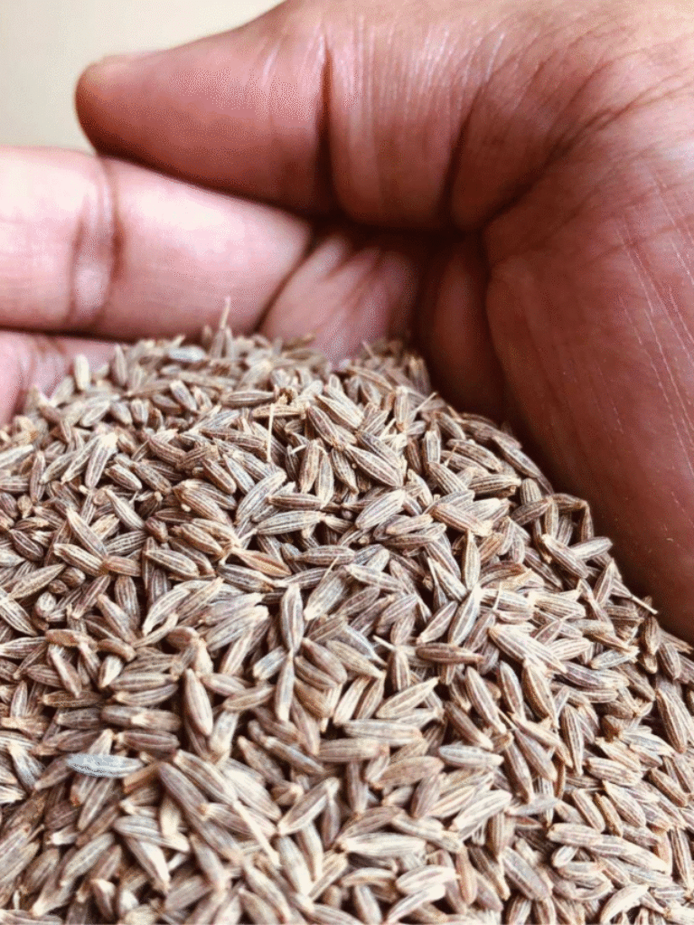 10 Unbelievable Health Benefits of Jeera No One Told You About