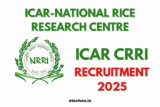 Exciting Job Opportunities at ICAR-CRRI: Join the Revolution in Sustainable Rice Farming